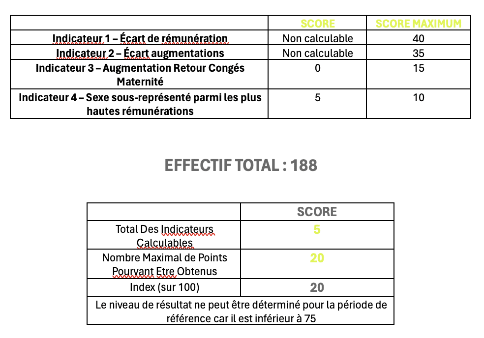 index égalité professionnelle ADOMO