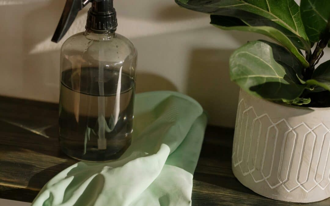 5 gestes écolos dans le ménage que personne ne fait (et qui changent tout)